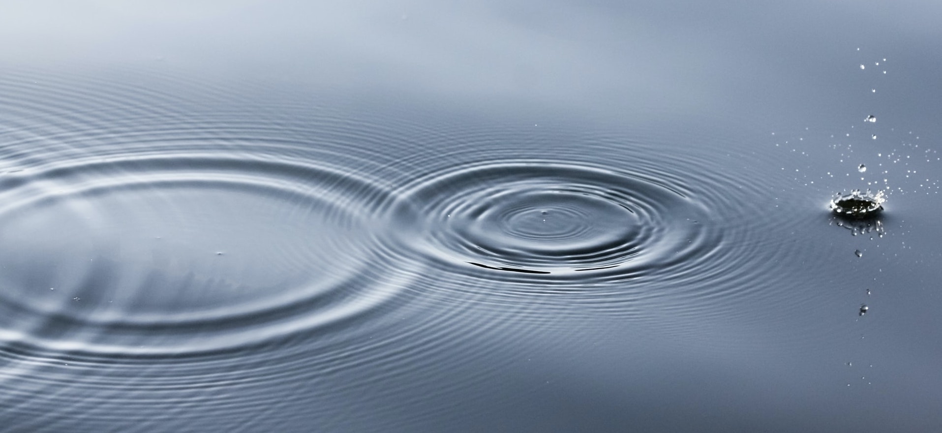 Picture of a drip of water causing ripples in a larger body of water
